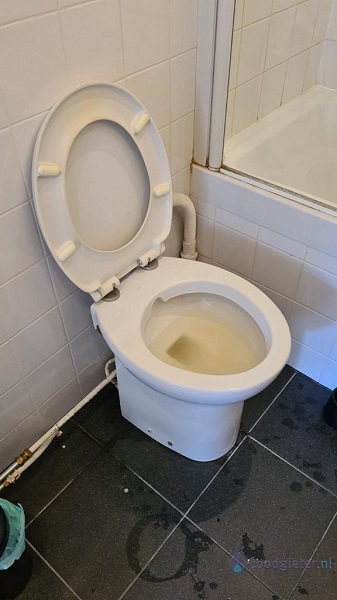  verstopping toilet Wormerveer